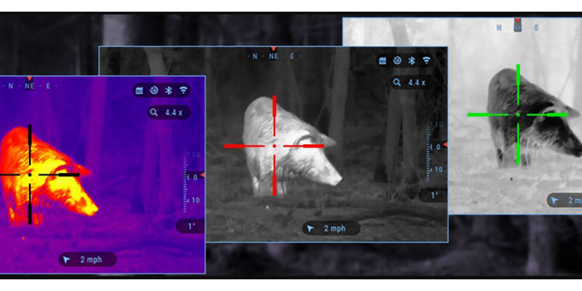 Is it legal to hunt with night vision?