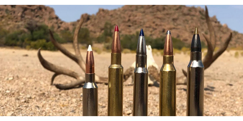 Which cartridge is best for deer hunting?