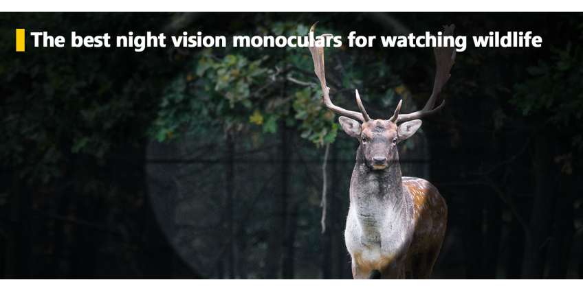 The best night vision monoculars for watching wildlife