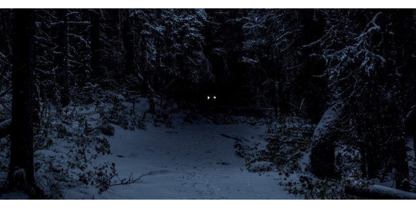 Night Hunting Safety Tips Night Hunting Safety Tips