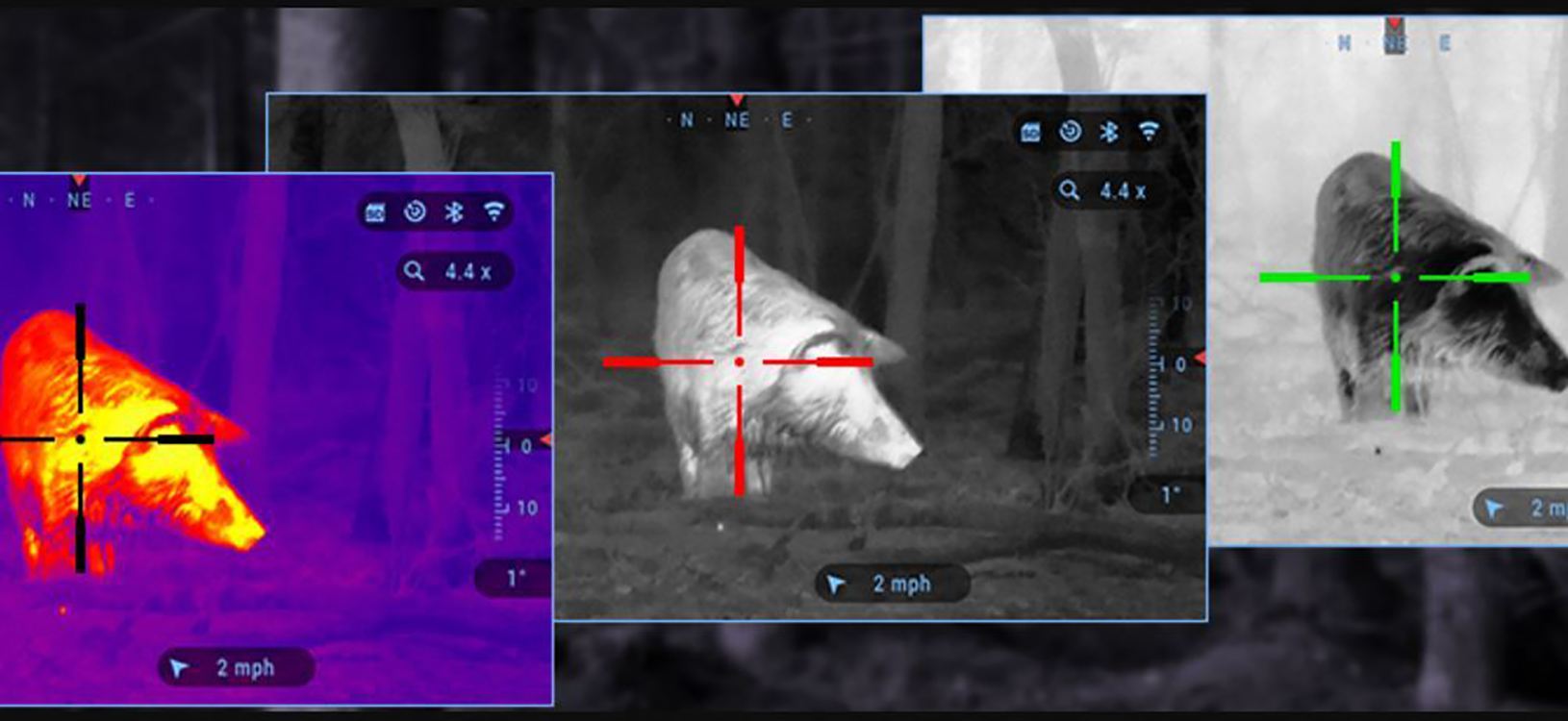 Is it legal to hunt with night vision?