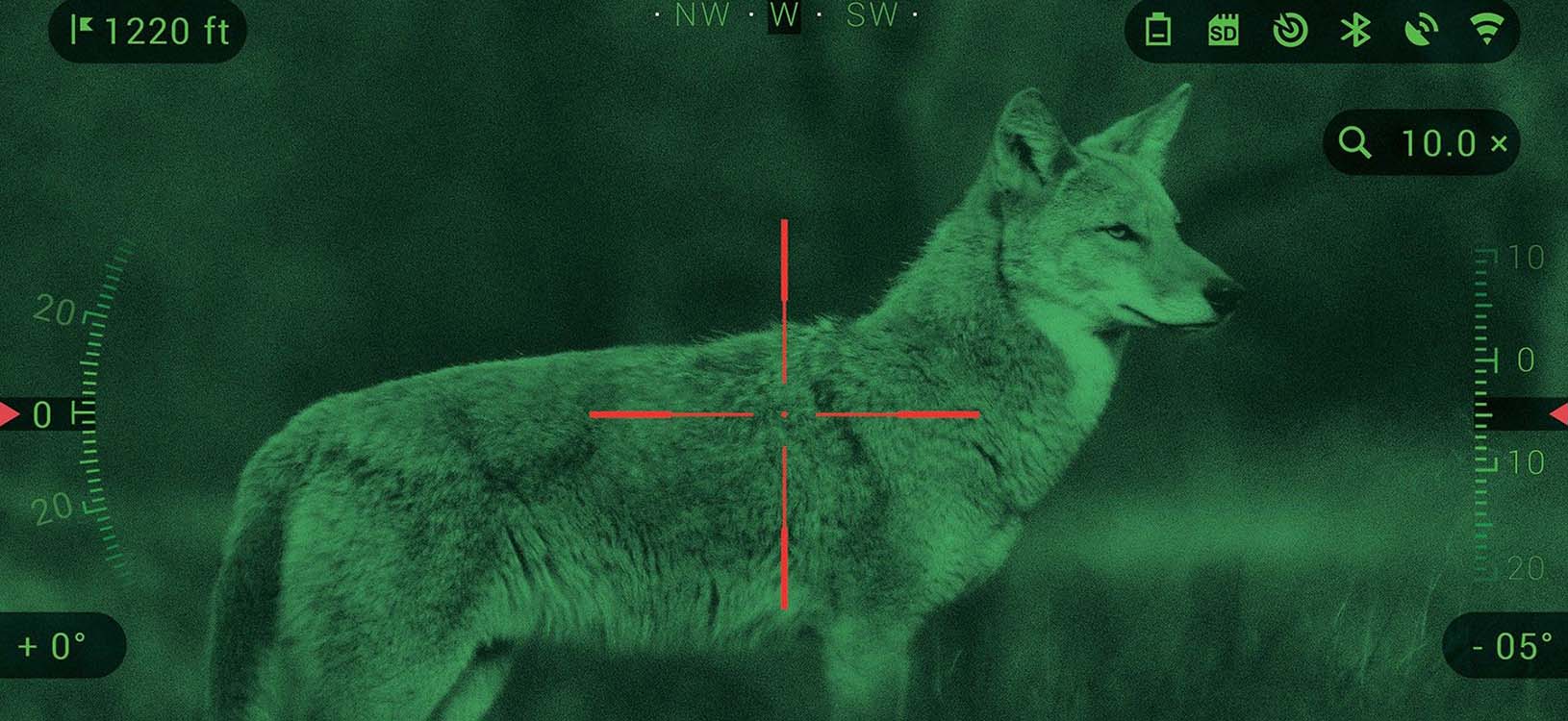 Best night vision scope for coyote hunting