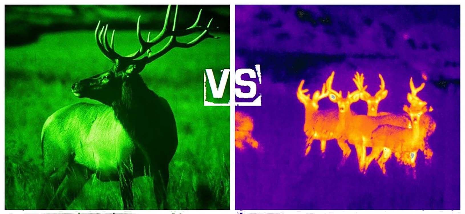 Night Vision vs. Thermal Optics: What You Need to Know