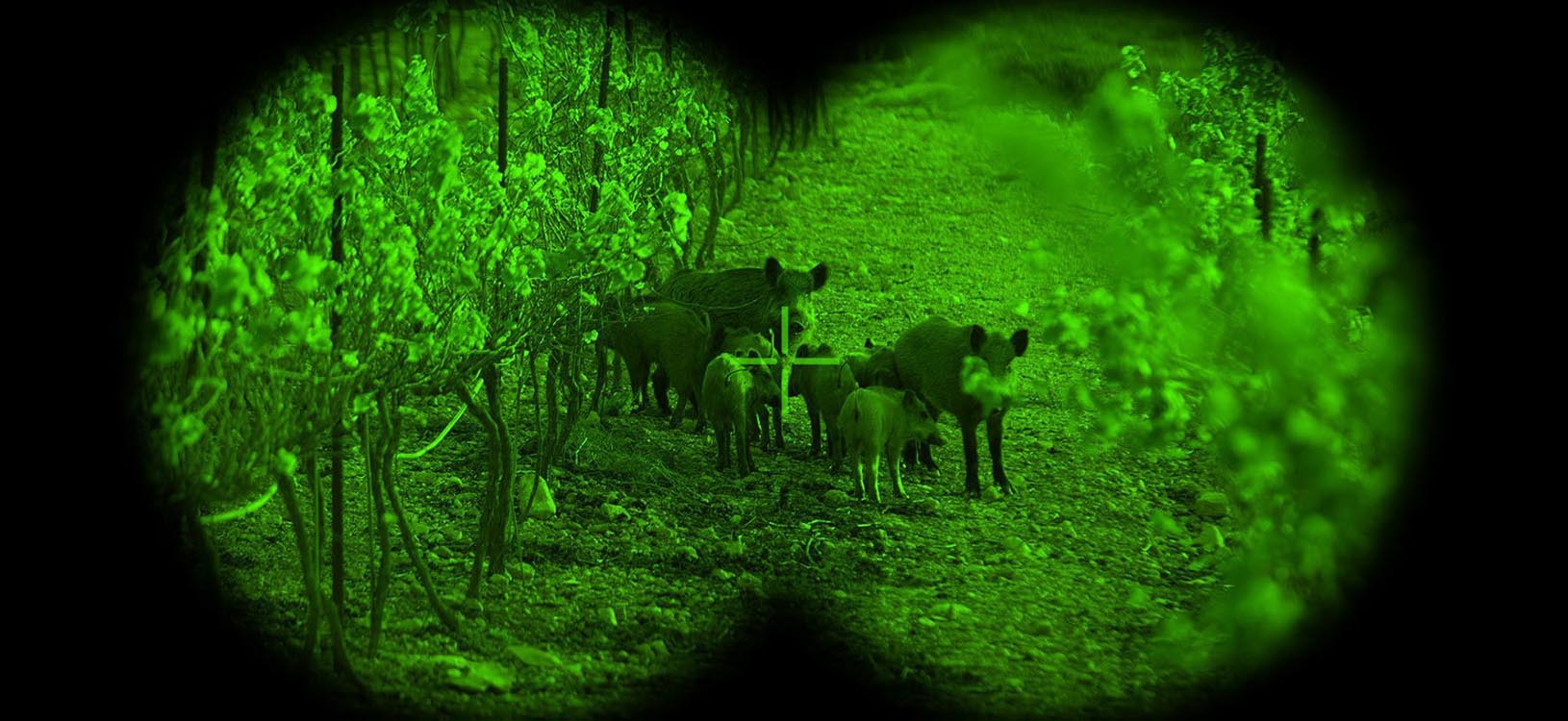 When are night vision goggles useless?