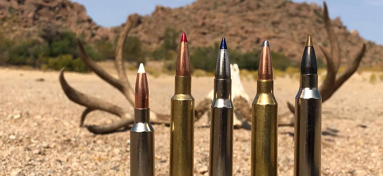Which cartridge is best for deer hunting?